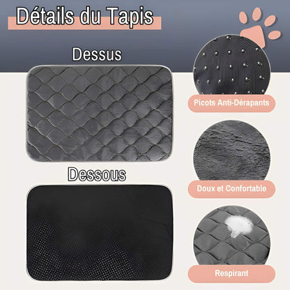 Coussin auto chauffant jujuthermocozy la niche de jules details tapis