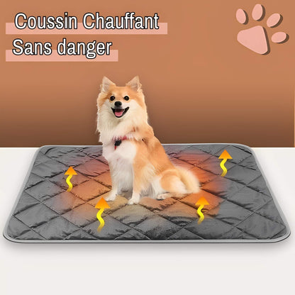 Coussin auto chauffant jujuthermocozy la niche de jules sans danger