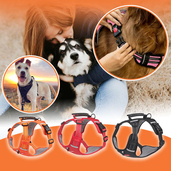 harnais anti traction de qualité pour chien la niche de jules jujuharn img03