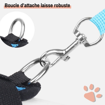 Harnais pour Chien de petite taille et Chiot - Anti Traction SFP | JuJuMiniHarn™