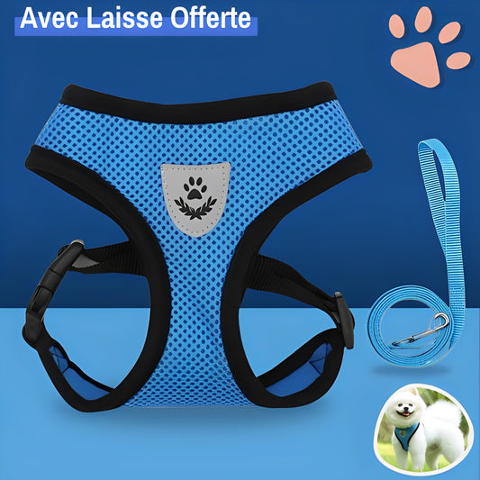 Harnais pour Chien de petite taille et Chiot - Anti Traction SFP | JuJuMiniHarn™