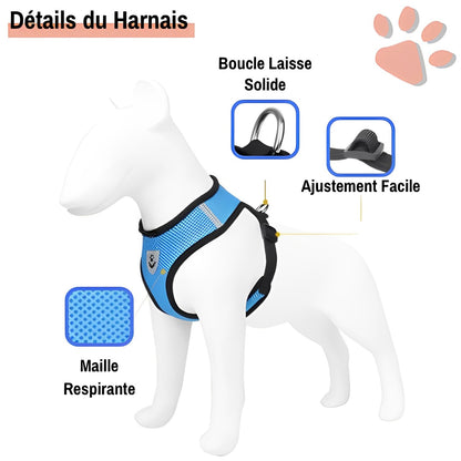 Harnais pour Chien de petite taille et Chiot - Anti Traction SFP | JuJuMiniHarn™