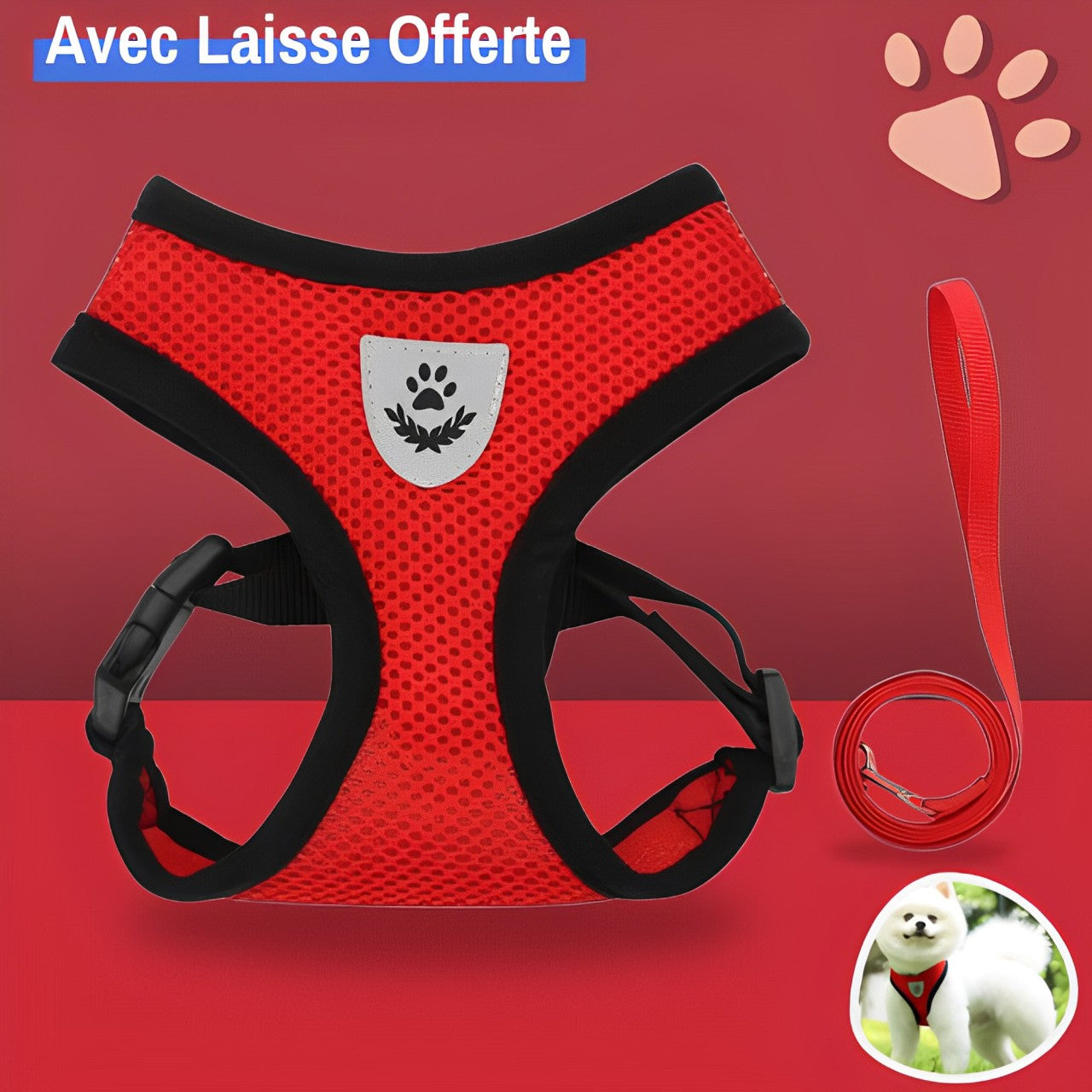 Harnais pour Chien de petite taille et Chiot - Anti Traction SFP | JuJuMiniHarn™