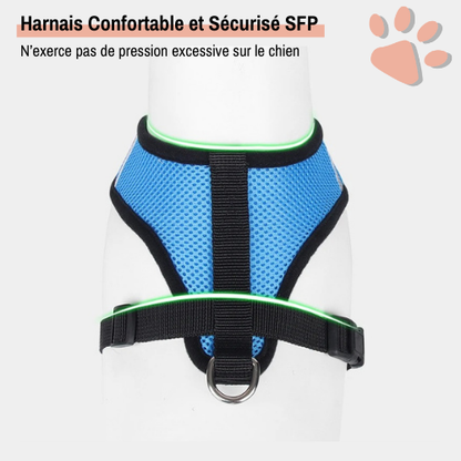 Harnais pour Chien de petite taille et Chiot - Anti Traction SFP | JuJuMiniHarn™