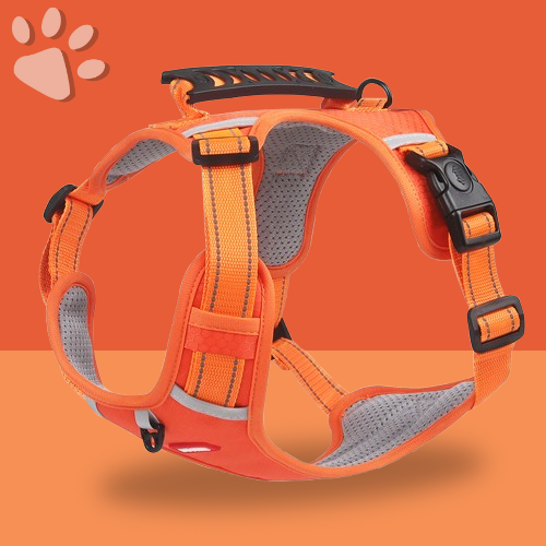 harnais anti traction respirant de qualité pour chien la niche de jules jujuharn orange