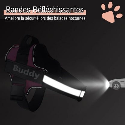 Harnais pour chien personnalisé prénom téléphone anti traction spf jujucustomharn la niche de jules bandes réfléchissantes