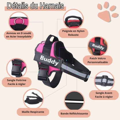 Harnais pour chien personnalisé prénom téléphone anti traction spf jujucustomharn la niche de jules détails