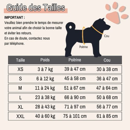 Harnais pour chien personnalisé prénom téléphone anti traction spf jujucustomharn la niche de jules guide tailles