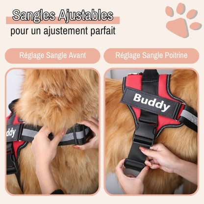 Harnais pour chien personnalisé prénom téléphone anti traction spf jujucustomharn la niche de jules sangle ajustable