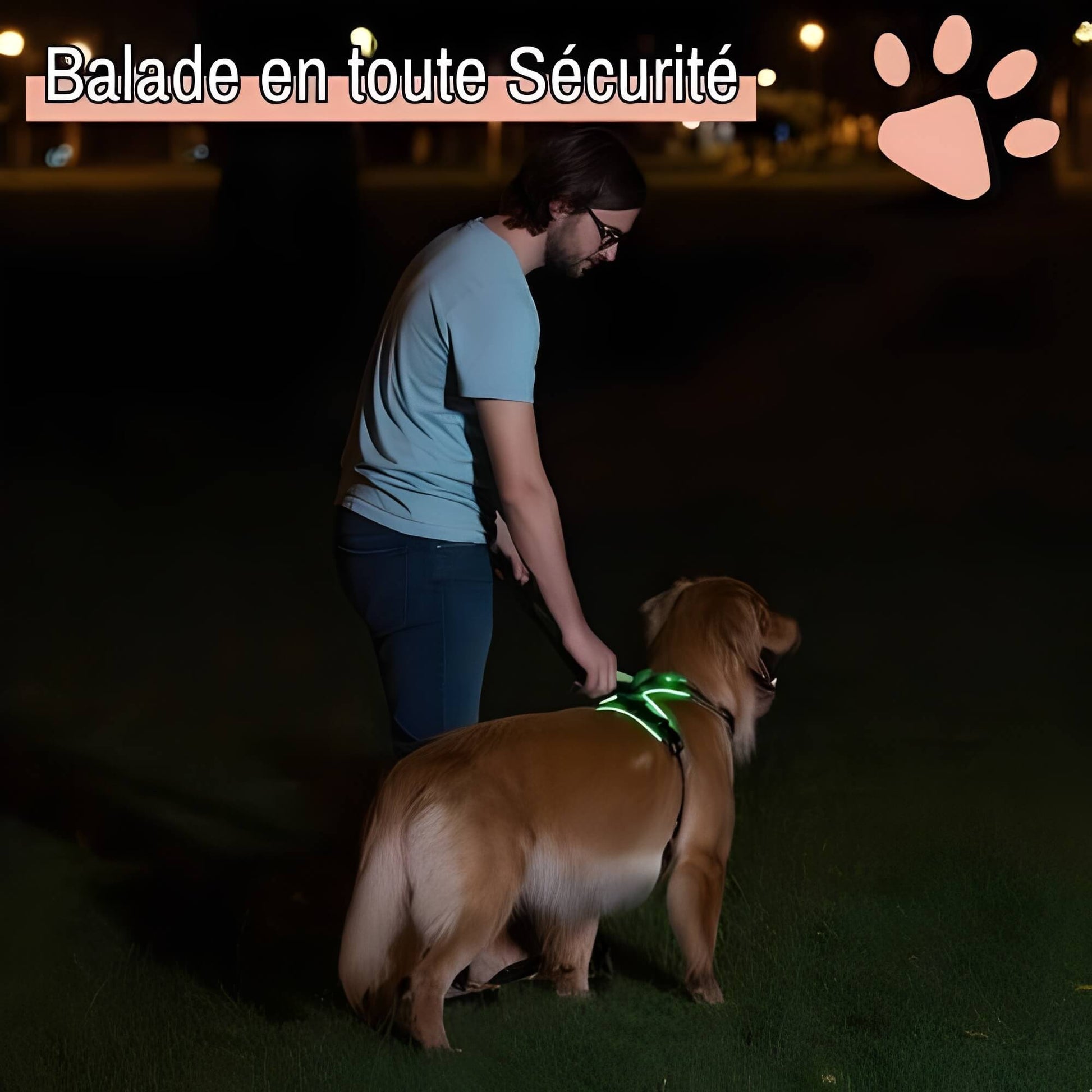 Harnais lumineux pour chien réglable la niche de jules JujuLumiHarness balade en toute sécurité