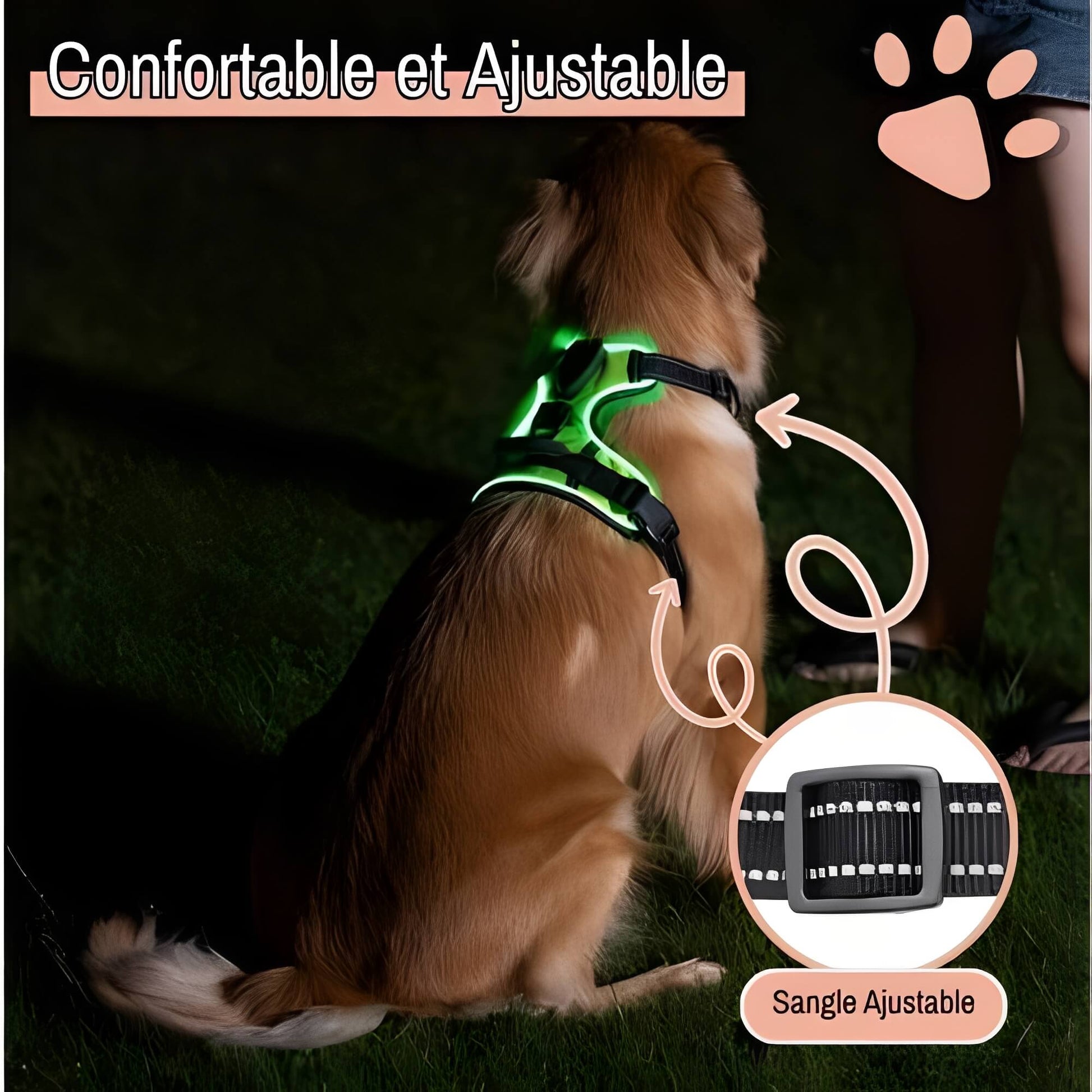Harnais lumineux pour chien réglable la niche de jules JujuLumiHarness confortable et ajustable