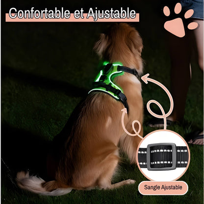 Harnais lumineux pour chien réglable la niche de jules JujuLumiHarness confortable et ajustable