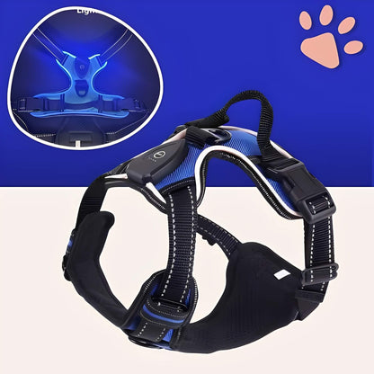 Harnais lumineux pour chien réglable la niche de jules JujuLumiHarness variante bleue