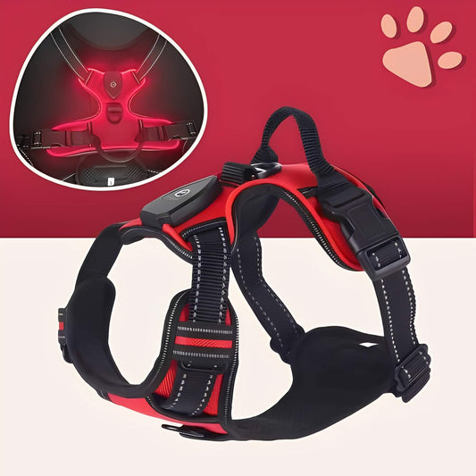 Harnais lumineux pour chien réglable la niche de jules JujuLumiHarness variante rouge