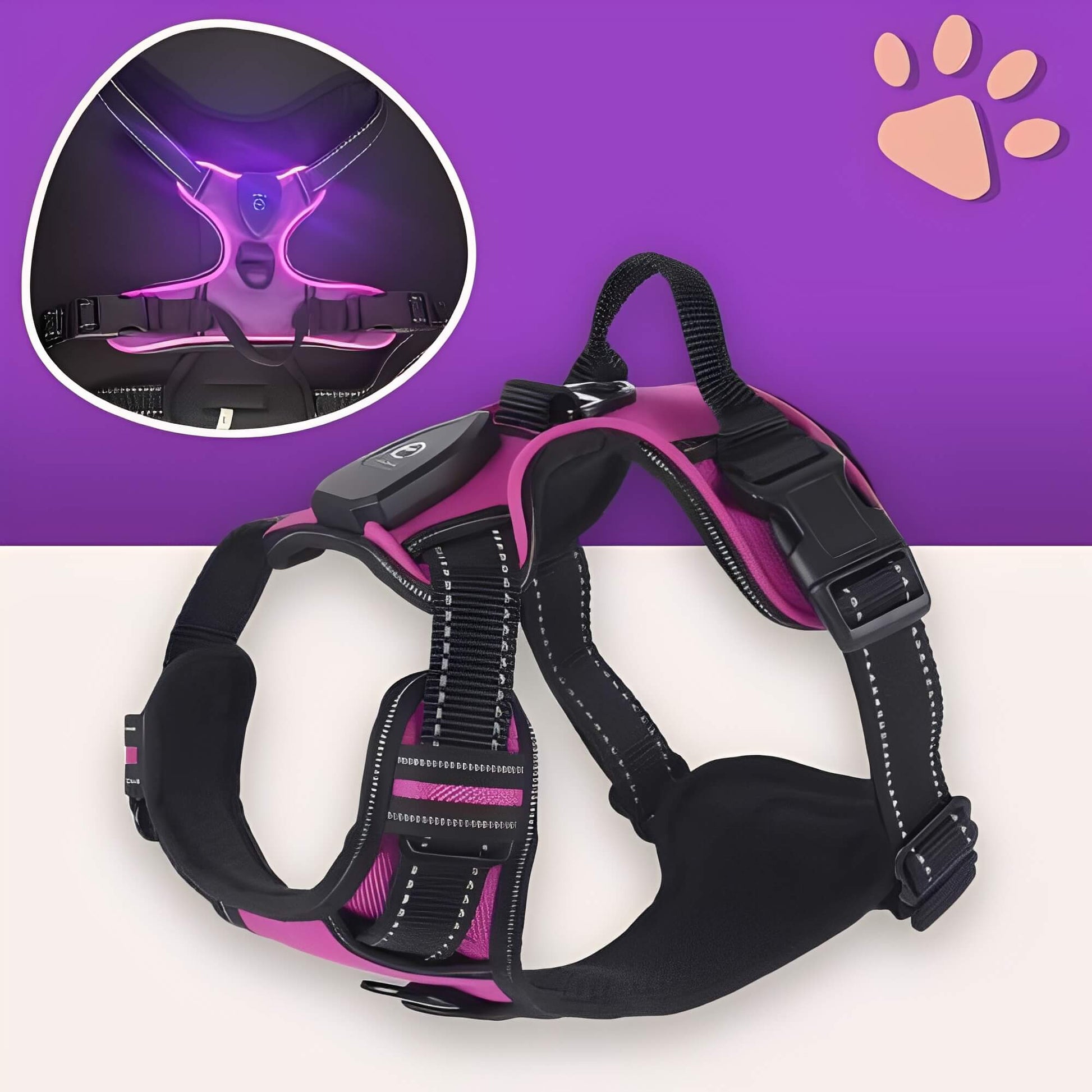 Harnais lumineux pour chien réglable la niche de jules JujuLumiHarness variante violet