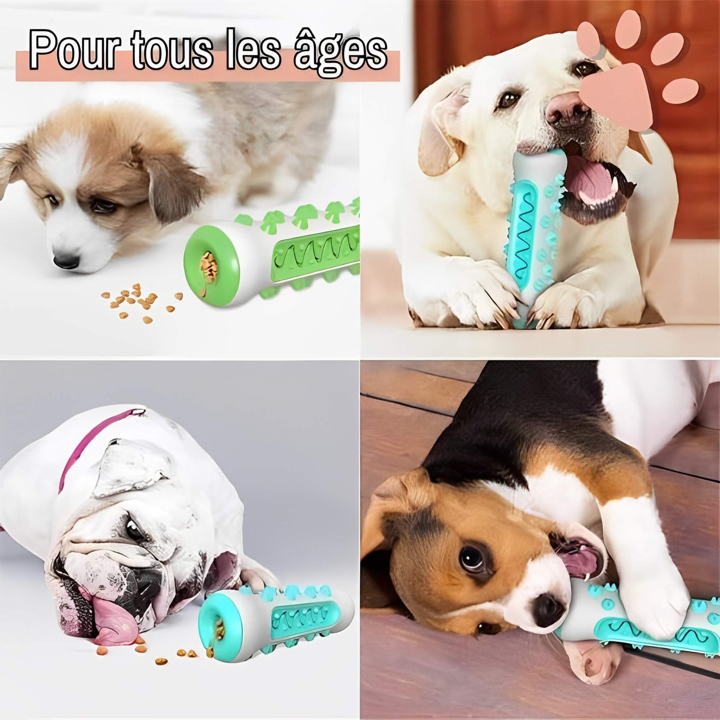 Jouet Pour Chien Brosse a Macher Nettoie Les Dents la niche de jules JuJuChewBrush pour tous les âges