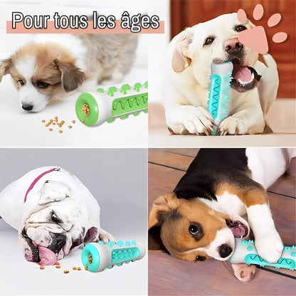 Jouet Pour Chien Brosse a Macher Nettoie Les Dents la niche de jules JuJuChewBrush pour tous les âges