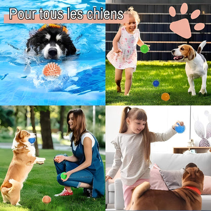Jouet Pour Chien a Mordre Balle pour Chien la niche de jules JuJuPowerChew pour tous les chiens