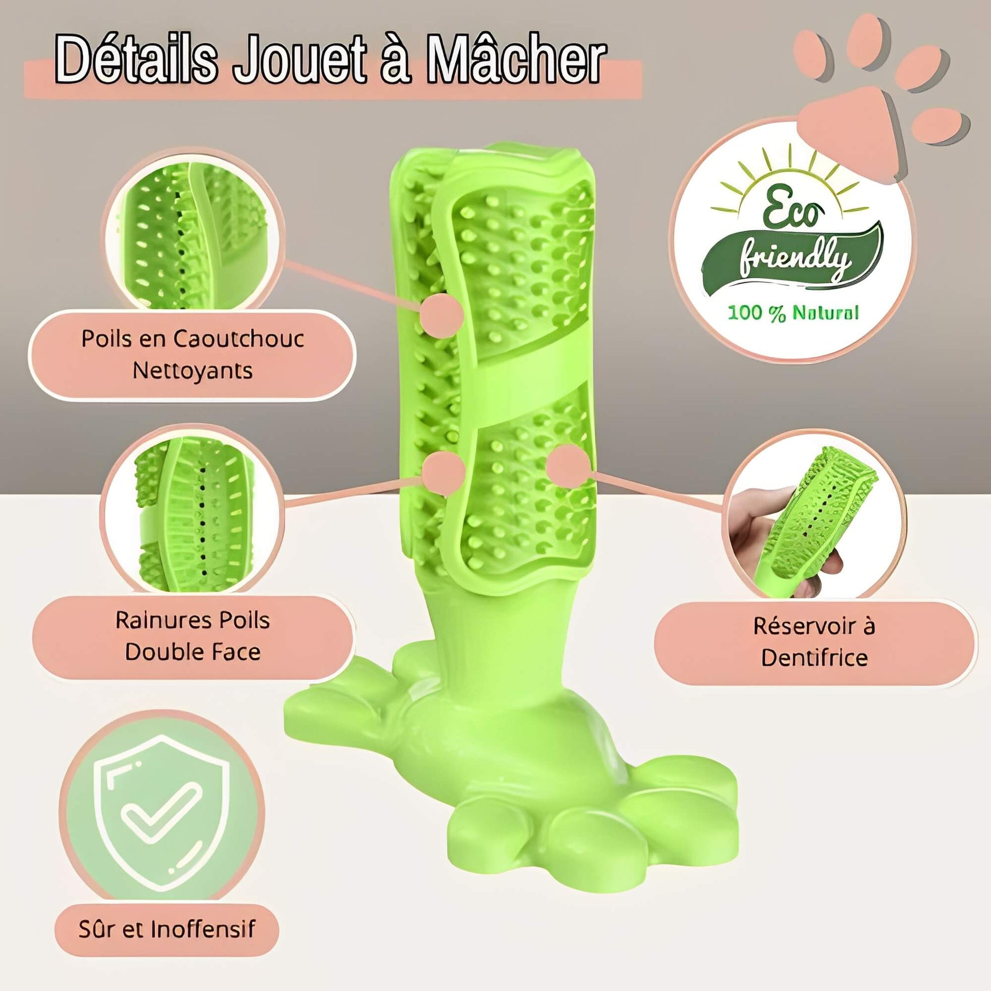 Jouet pour chien a macher jujudentguard la niche de jules details