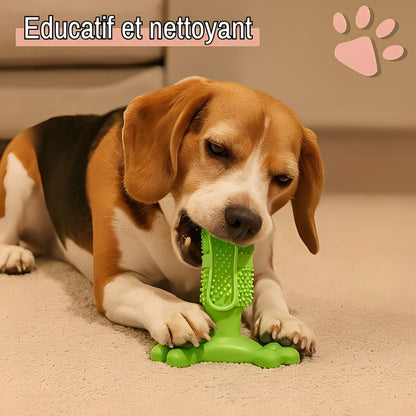 Jouet pour chien a macher jujudentguard la niche de jules educatif et nettoyant