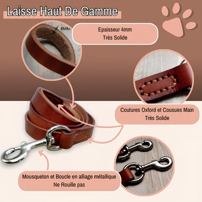 Laisse en cuir veritable pour chien la niche de jules jujuluxeleash haut de gamme