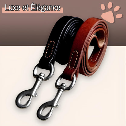 Laisse en cuir veritable pour chien la niche de jules jujuluxeleash luxe et élégance