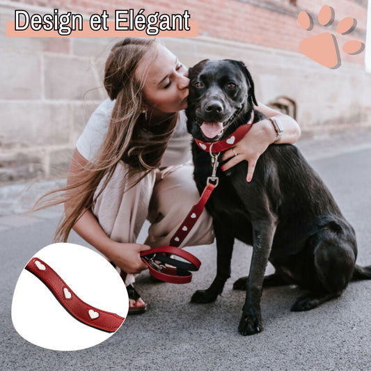 Laisse pour Chien Hunter Rouge 2 m Reglable la niche de jules JuJuLoveLeash design elegant