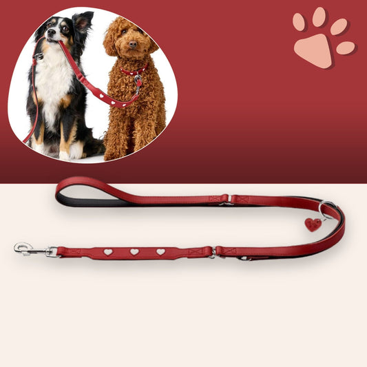 Laisse pour Chien Hunter Rouge 2 m Reglable la niche de jules JuJuLoveLeash variante