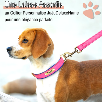 Laisse pour chien en Cuir avec doublure | JuJuDeluxeLeash™