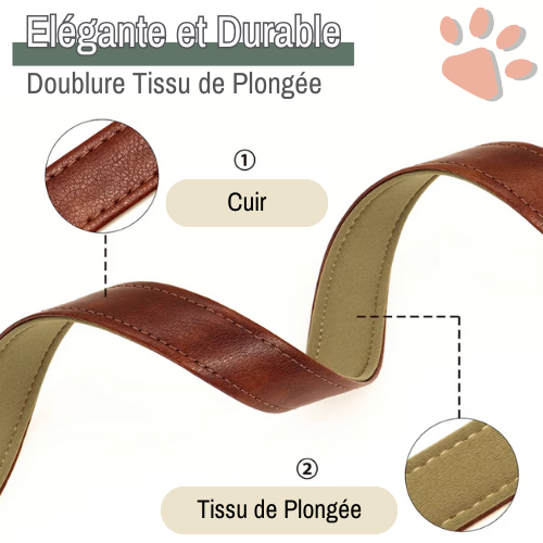 Laisse pour chien en Cuir avec doublure | JuJuDeluxeLeash™