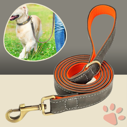 Laisse pour chien en Cuir avec doublure | JuJuDeluxeLeash™