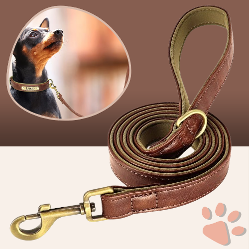 Laisse pour chien en Cuir avec doublure | JuJuDeluxeLeash™