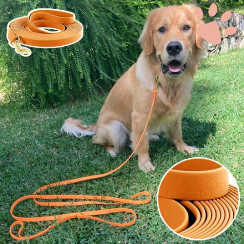Laisse longe pour chien PVC jujulongepvc la niche de jules balade