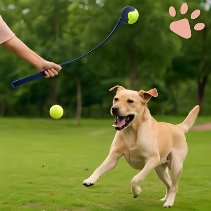 Lanceur de Balle Pour Chien la niche de jules JuJuLaunchGrip chien heureux