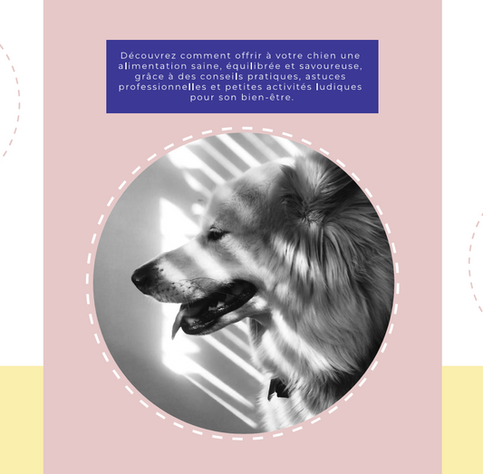 L'assiette idéale pour nourrir son chien avec équilibre et plaisir | Ebook - 10 pages