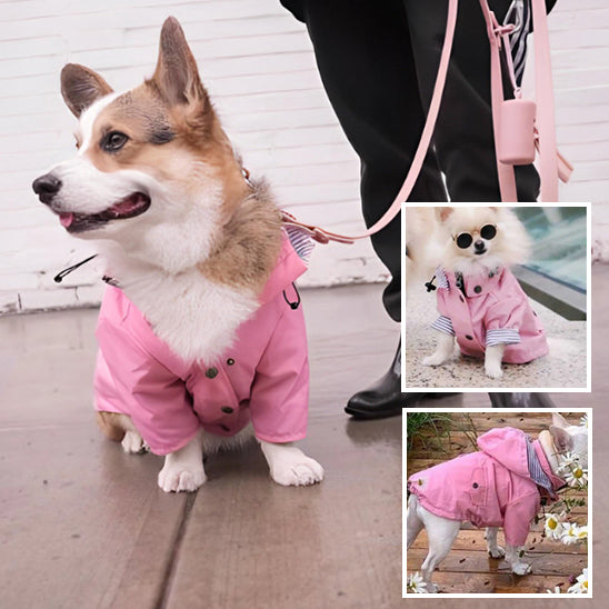 Manteau De Pluie Pour Chien - Imperméable, Réfléchissant, Avec Poignets élastiques