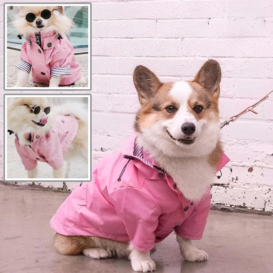 Manteau de pluie imperméable pour chien la niche de jules jujucoat joli