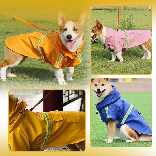 Manteau de pluie pour chien vetement coupe vent chien la niche de jules jujuwat passe laisse harnais