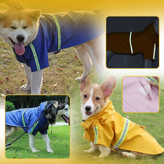 Manteau de pluie pour chien vetement coupe vent chien la niche de jules jujuwat réfléchissant