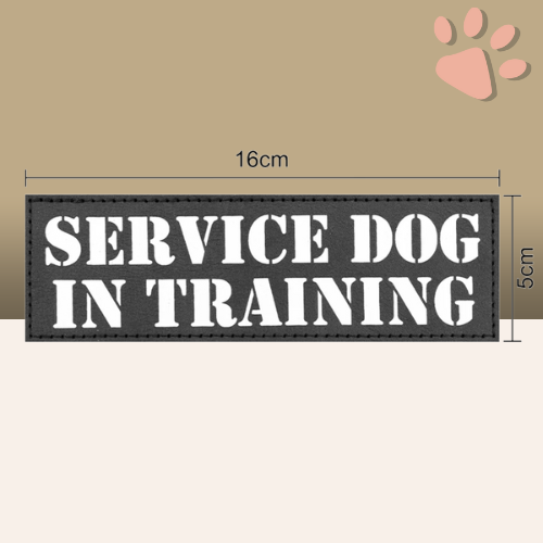 etiquettes velcro scratch pour harnais tactique chien la niche de jules service dog in training