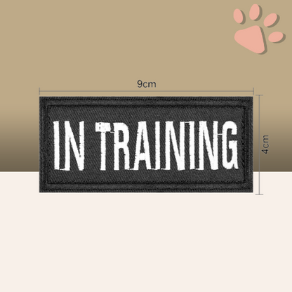 etiquettes velcro scratch pour harnais tactique chien la niche de jules in training