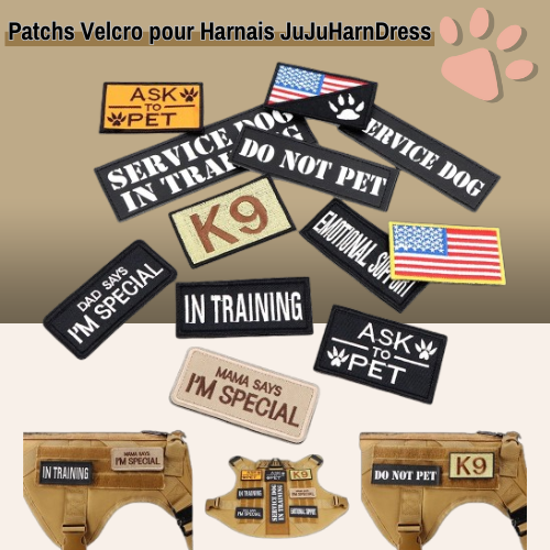 etiquettes velcro scratch pour harnais tactique chien la niche de jules