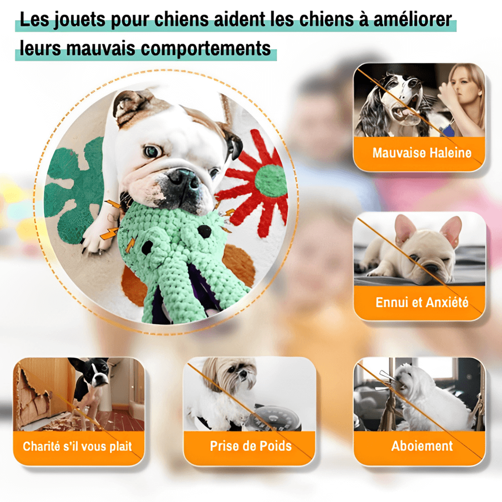 Peluche pour chien jouet pour chien en forme de poulpe jujupoulpe la niche de jules améliore le comportement