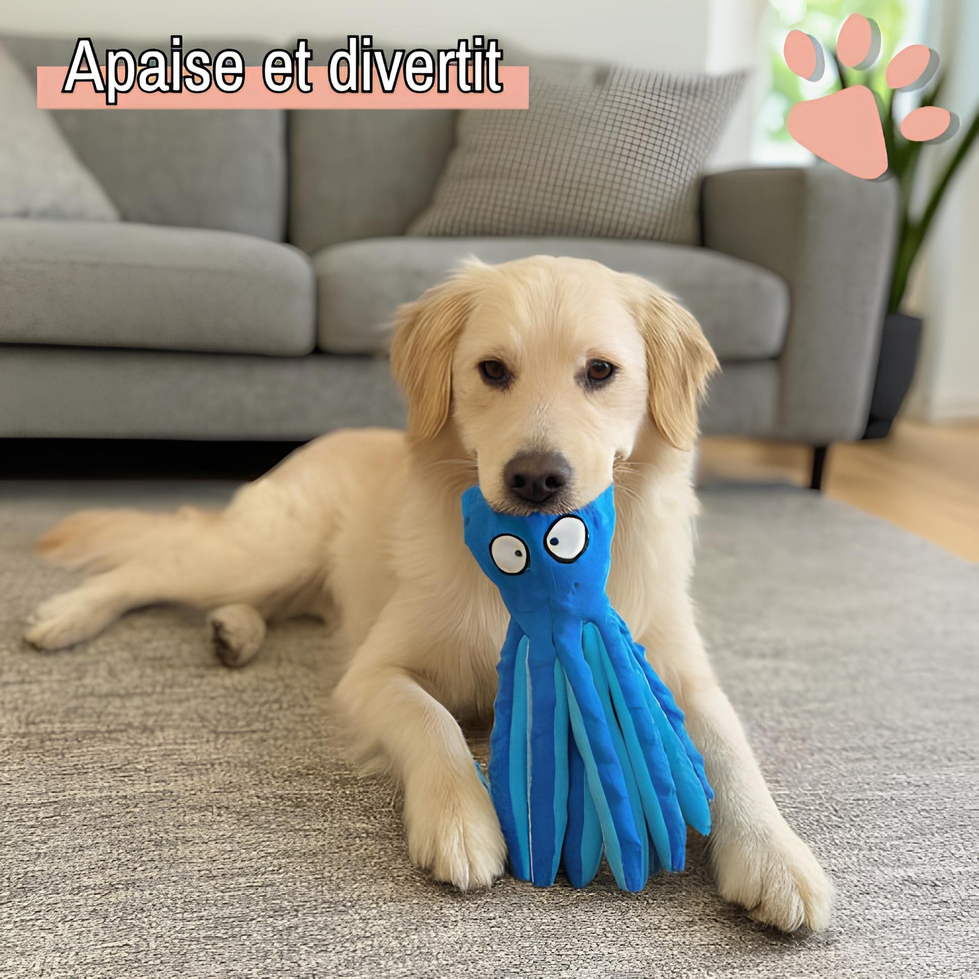 Peluche pour chien pieuvre sonore la niche de jules jujuoctosound jouet qui apaise et divertit