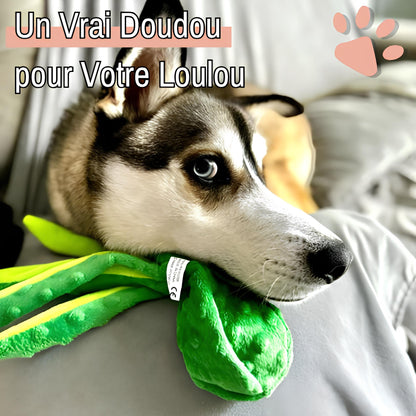 Peluche pour chien pieuvre sonore la niche de jules jujuoctosound un vrai doudou
