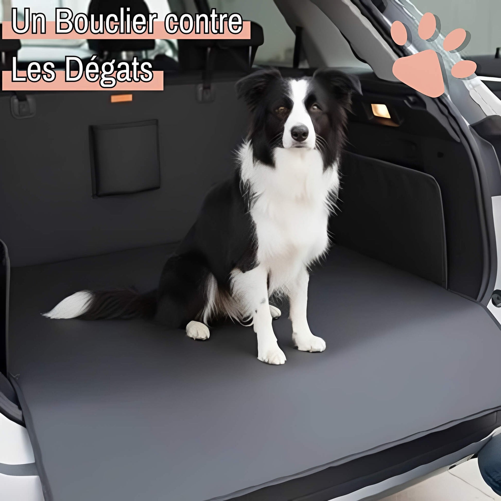 Protection voiture pour chiens la niche de jules JujuBlackProtect bouclier contre les degats