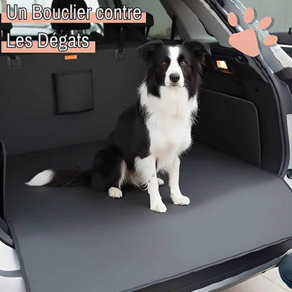 Protection voiture pour chiens la niche de jules JujuBlackProtect bouclier contre les degats