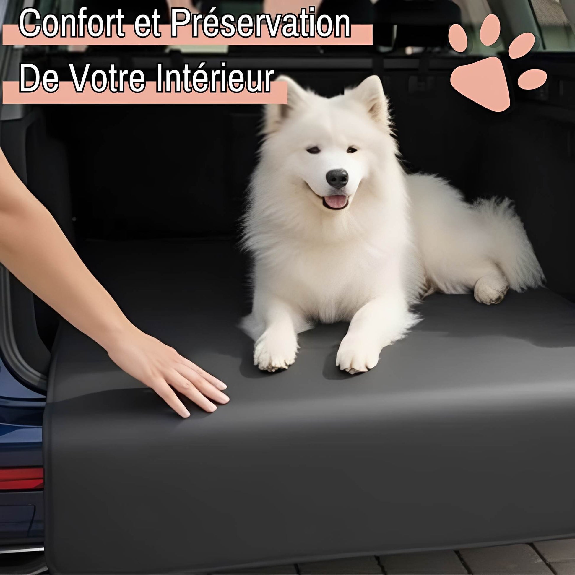Protection voiture pour chiens la niche de jules JujuBlackProtect confort preservation de votre interieur