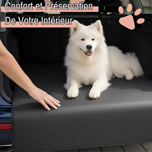 Protection voiture pour chiens la niche de jules JujuBlackProtect confort preservation de votre interieur