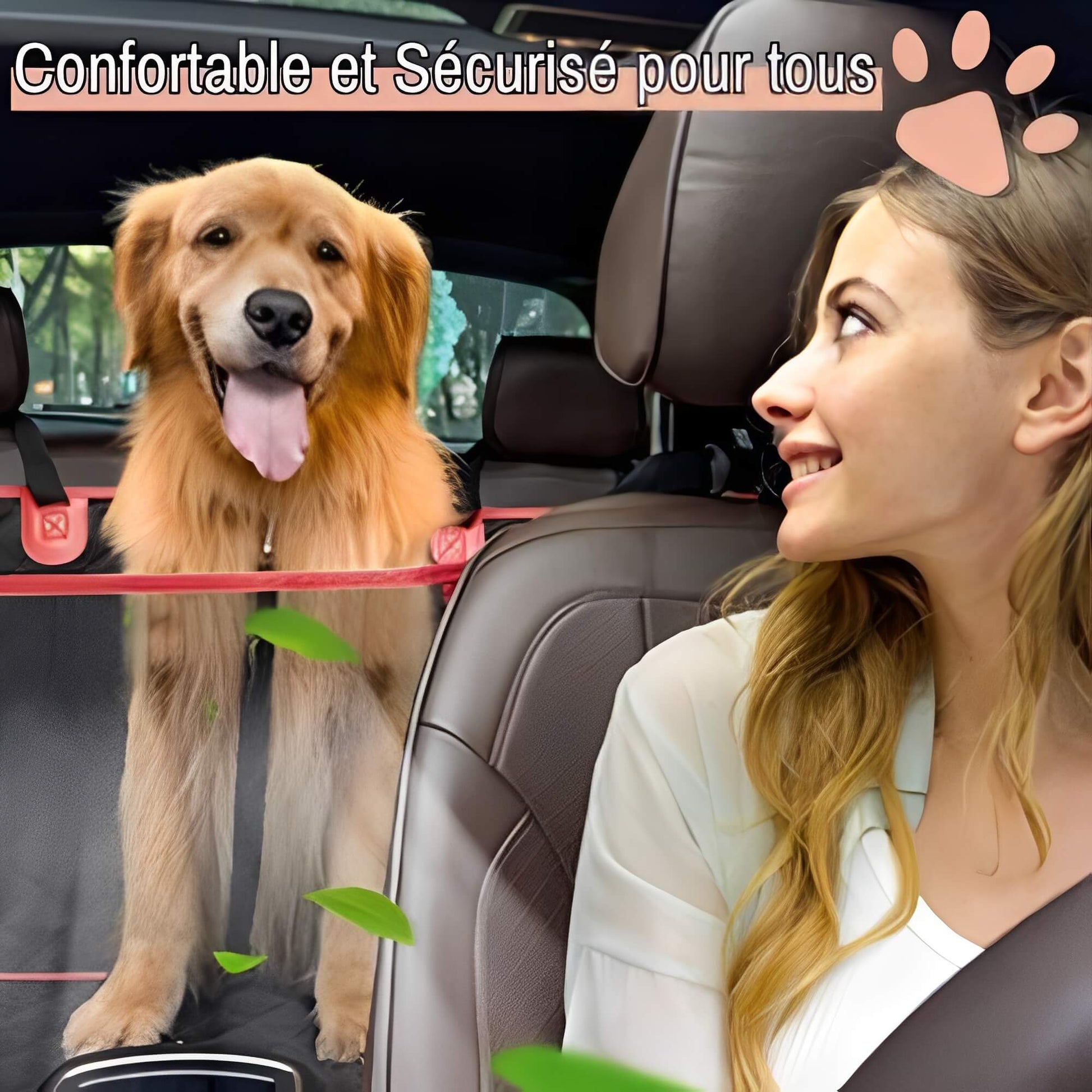 Protection Banquette Arrière Pour Voiture pour Chien la niche de Jules JuJuCarProtect confortable sécurisé pour tous